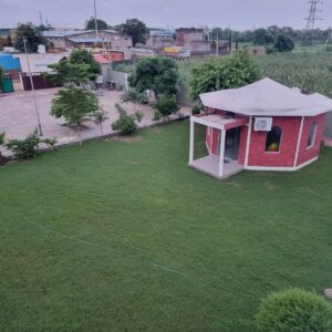 Home WhatsApp Image 2026 01 28 At 6.17.34 PM 300x300